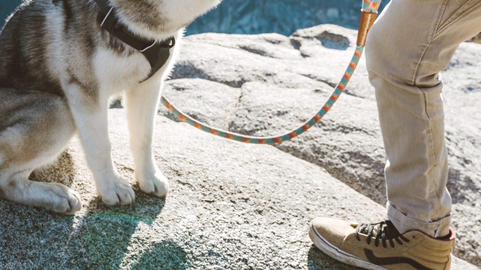 Trail running shoes on rocky ground